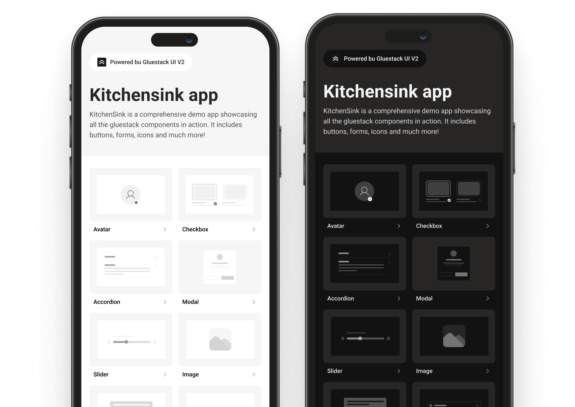 kitchensink image